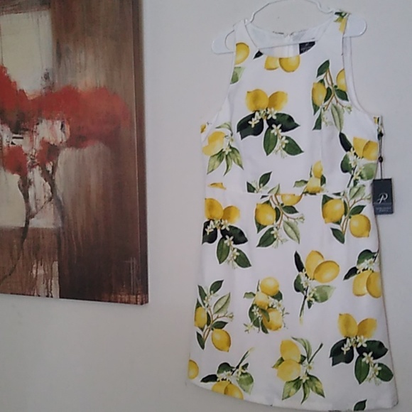 Adrianna Papell Dresses & Skirts - 🍋BYO Lemonade Lady